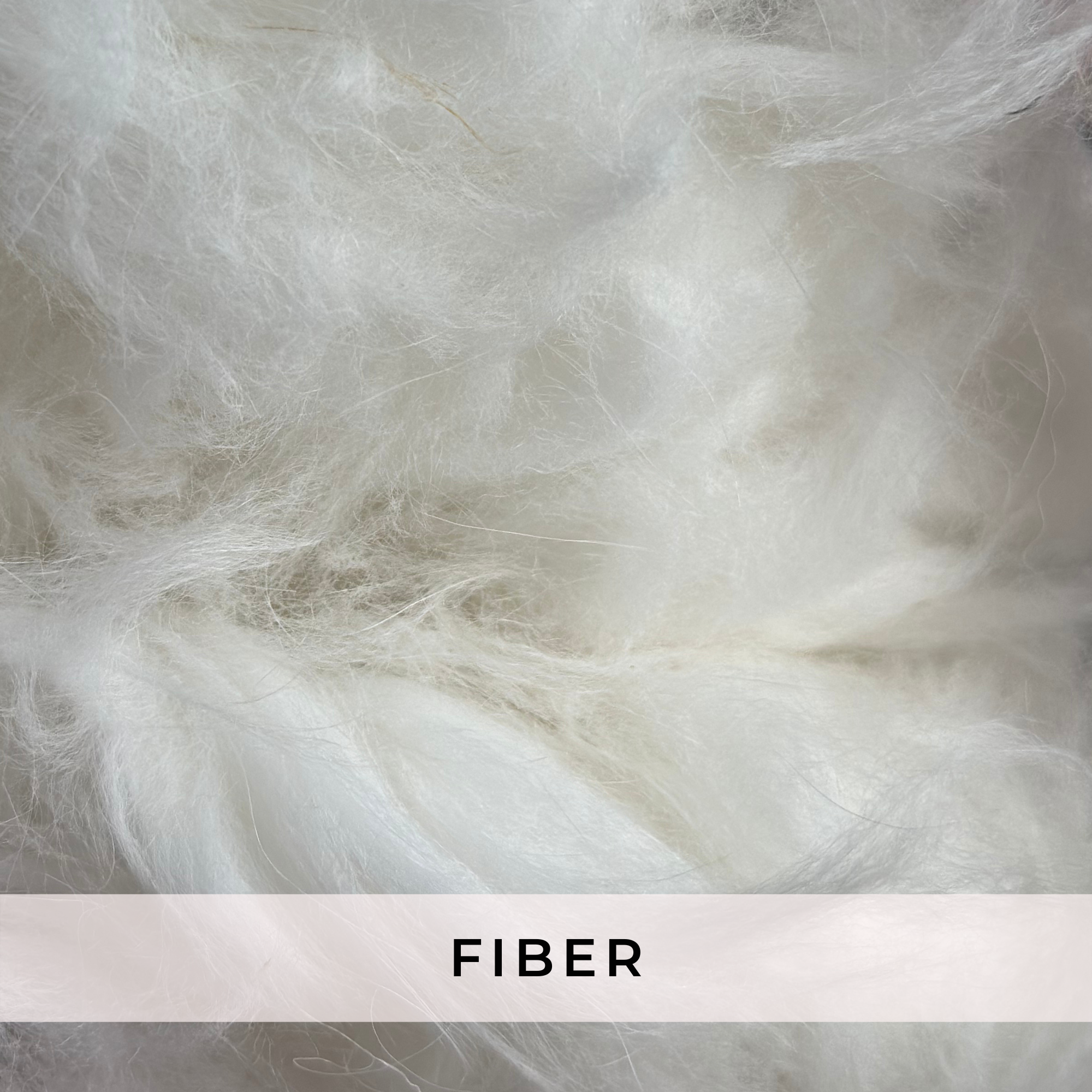 Fiber