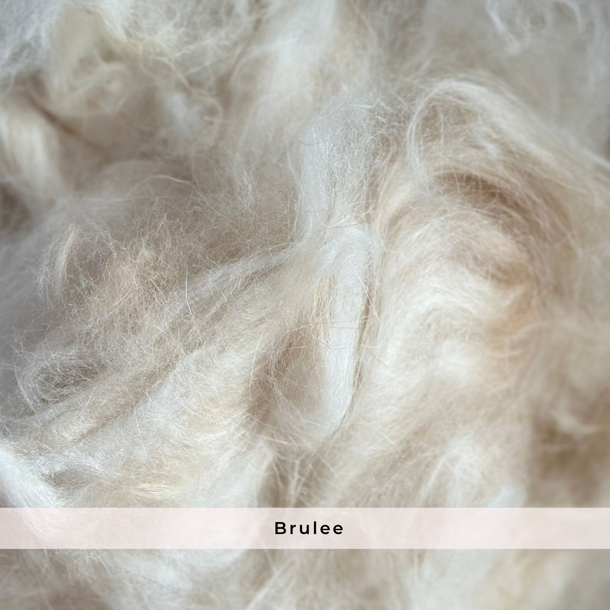 Raw Angora Fiber/ Wool by the Half Ounce - Ethically Harvested from Happy Rabbits
