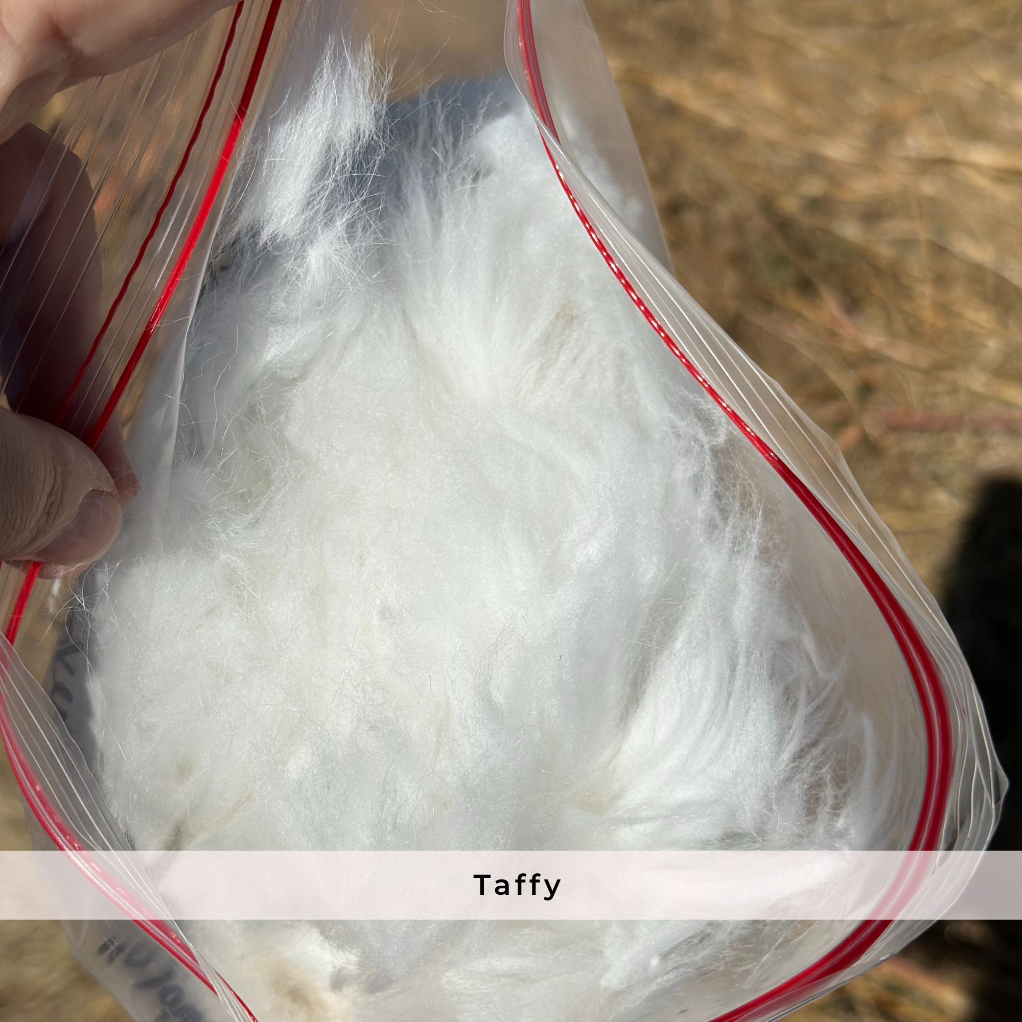 Raw Angora Fiber/ Wool by the Half Ounce - Ethically Harvested from Happy Rabbits