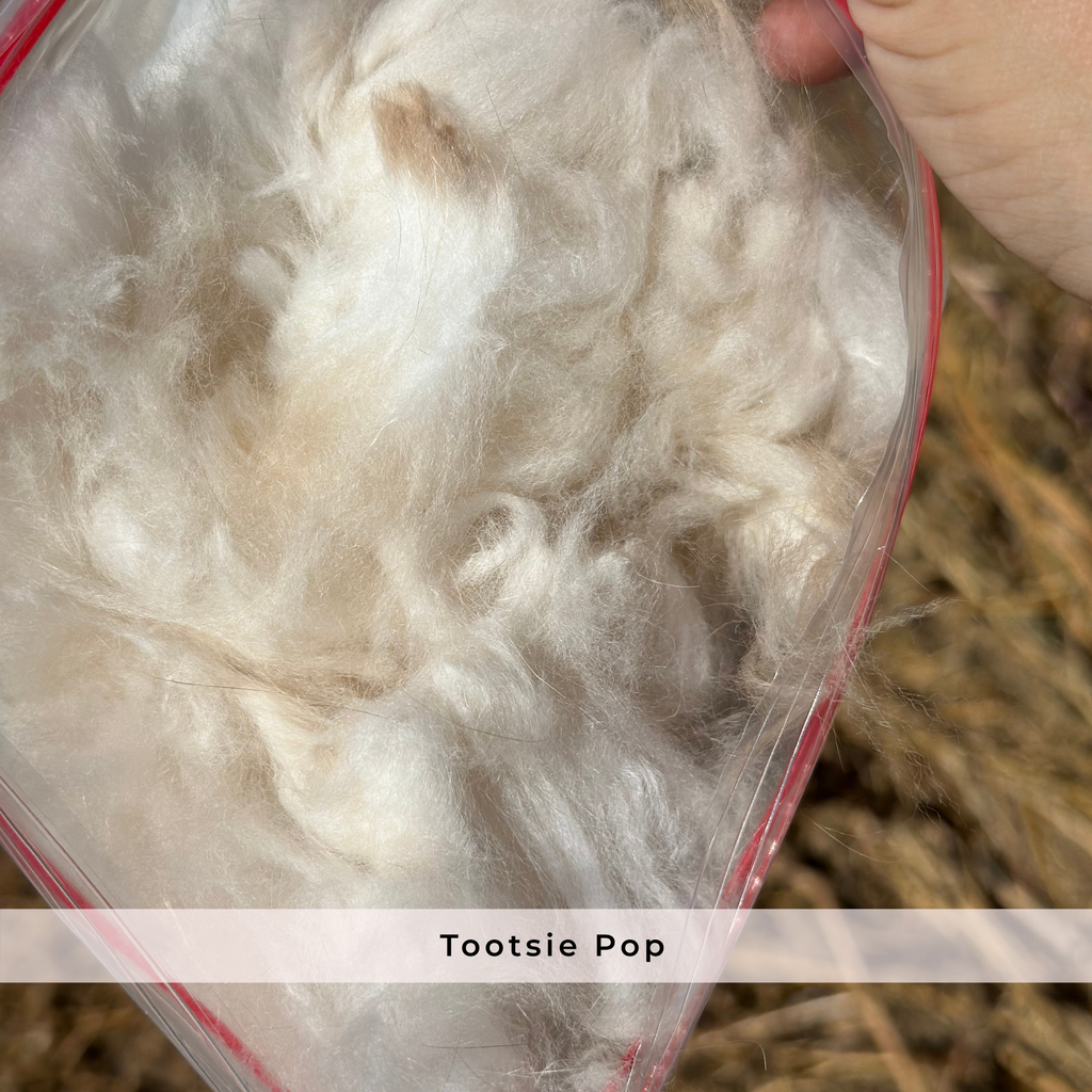 Raw Angora Fiber/ Wool by the Half Ounce - Ethically Harvested from Happy Rabbits