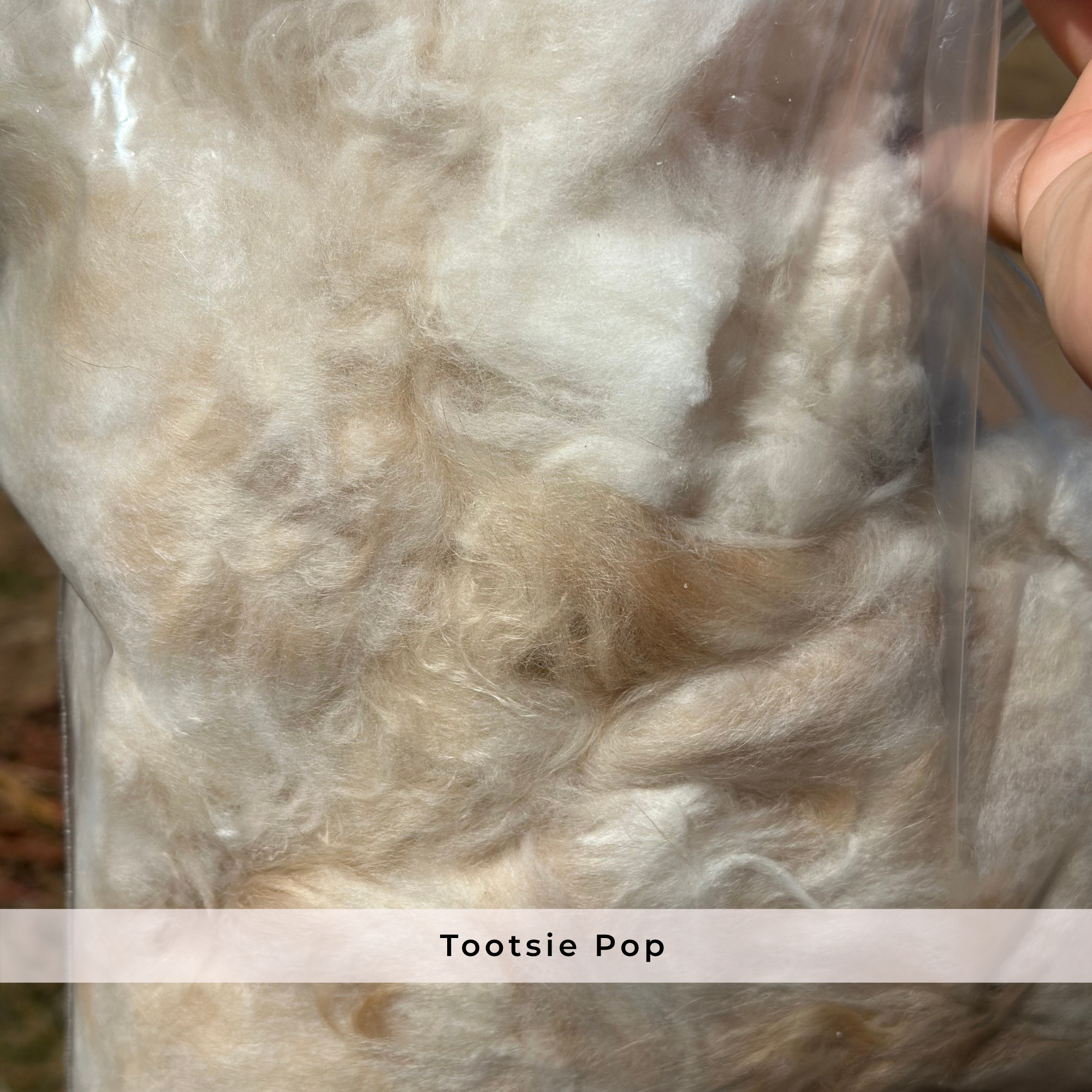 Raw Angora Fiber/ Wool by the Half Ounce - Ethically Harvested from Happy Rabbits