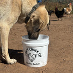 2-Gallon Chicken Bucket (with Optional Lid)